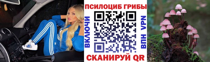 Псилоцибиновые грибы Psilocybine cubensis Стародуб