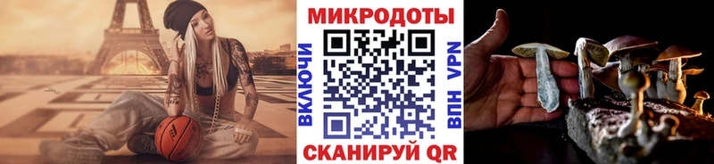 Купить закладки  Стародуб  Псилоцибиновые грибы Magic Shrooms 